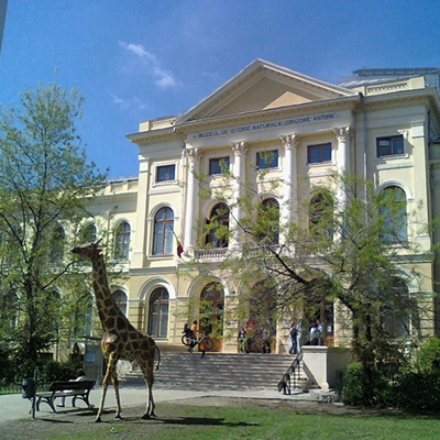 Muzeul Național de Istorie Naturală Grigore Antipa